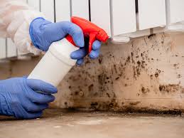 Best Commercial Mold Inspection  in Mount Carroll, IL